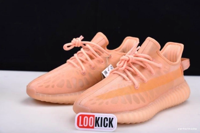 Yeezy Boost GW2870 
